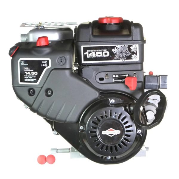 Briggs Stratton Snow Engine 20M307 0001 F1