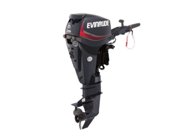 Evinrude E25DGTL