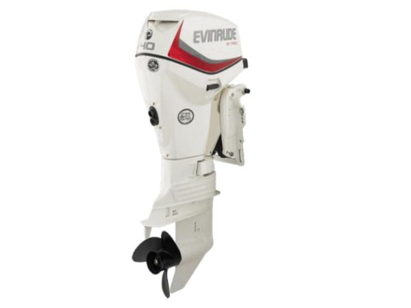 Evinrude E40DPGL