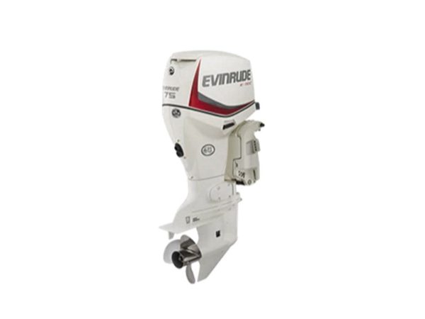 Evinrude E75DPGL