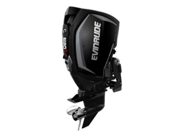 Evinrude H250GXCA 250HO Outboard Motor 1