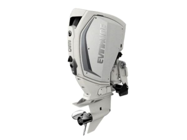 Evinrude H250WXI Outboard Motor